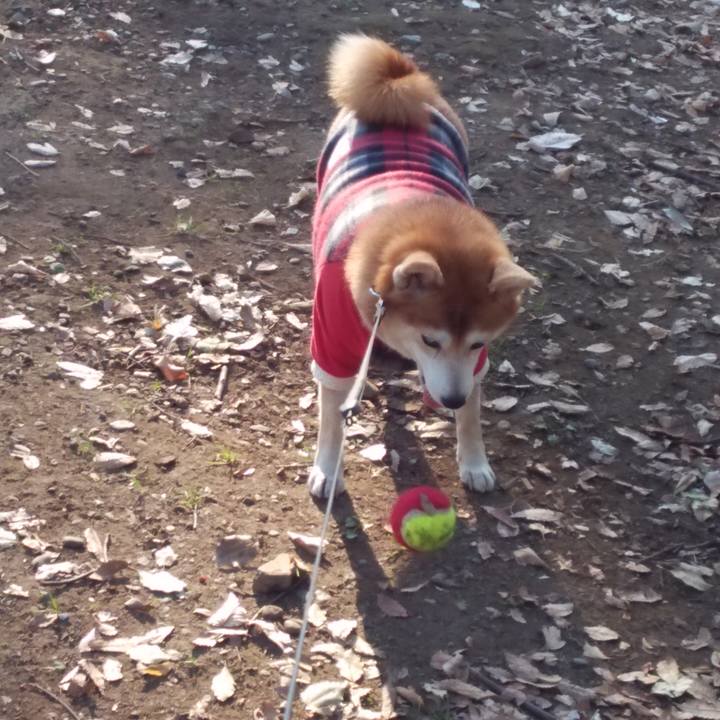 B0d2deb0 c401 4deb ace4 cb9fc47881c6