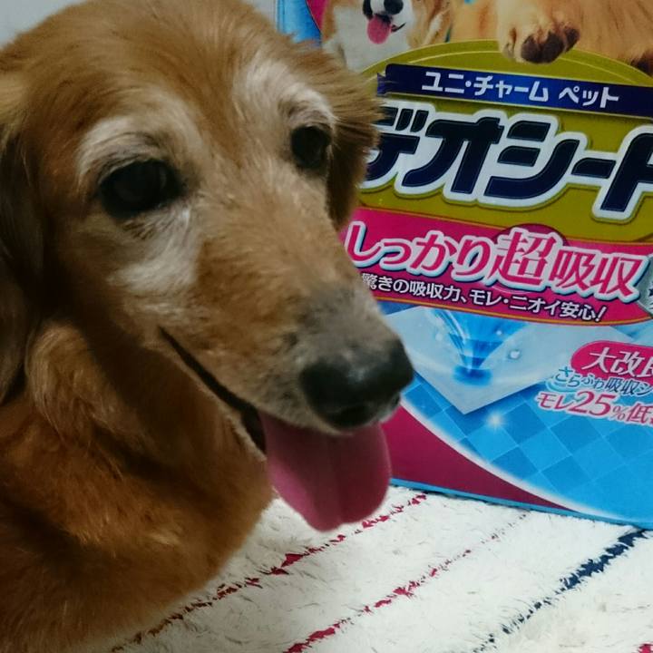 B0d2f6e3 0302 43d2 9e29 5a1f3a1e5a66