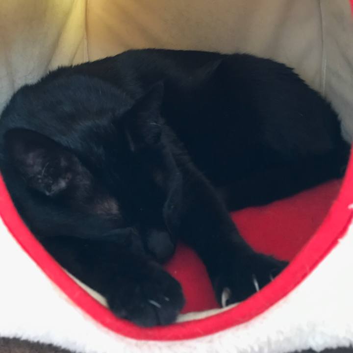 B0d311c2 372a 4020 a4f9 b853ab64b3e4