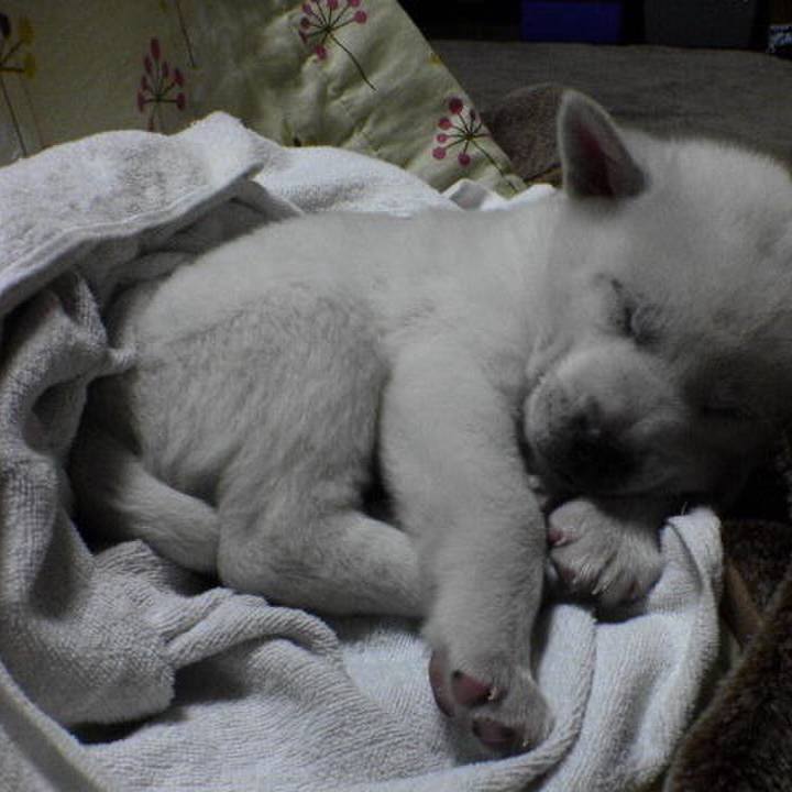 B0d324e3 ff94 4913 b4bd a2e5e9b97c08