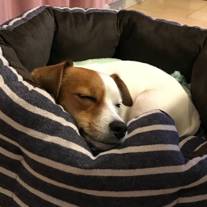 B0d35b86 c77a 4773 9666 7b175ab2ac28