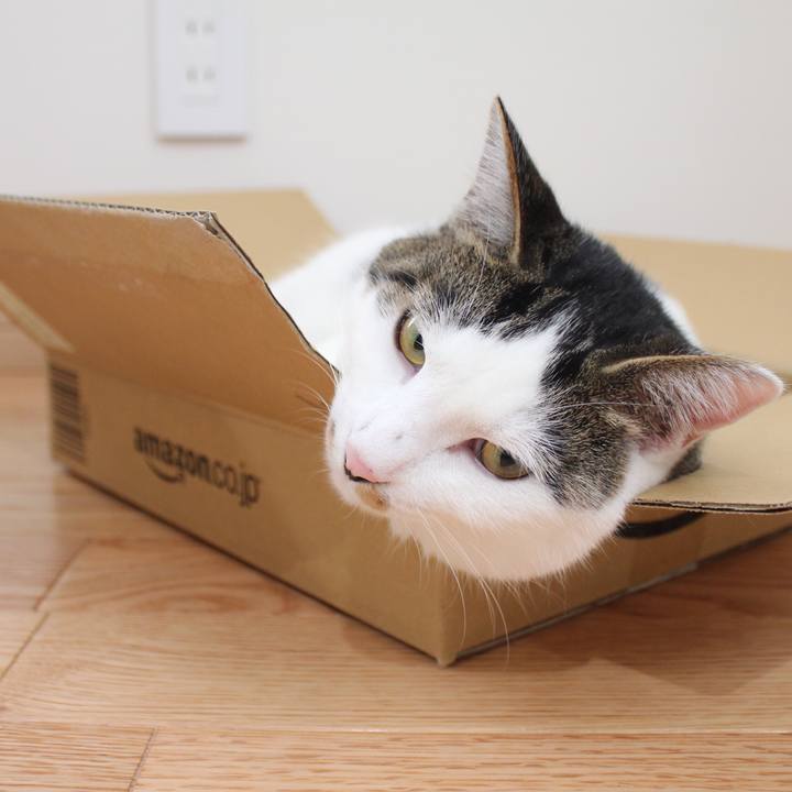 B0d3adf1 96d7 4a34 8c0b a181e7ed0e18