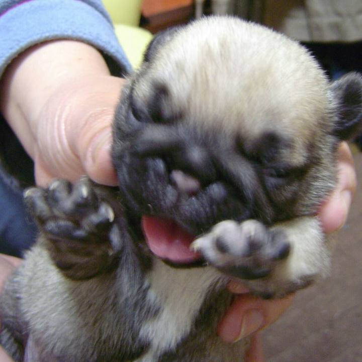 B0d53c79 2eac 4a1f 83a5 62ce105ddd68