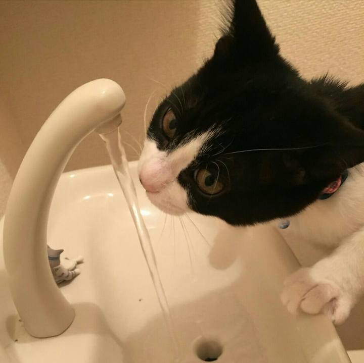 B0d5a504 3d92 4f84 b657 aac7ca4f0b08