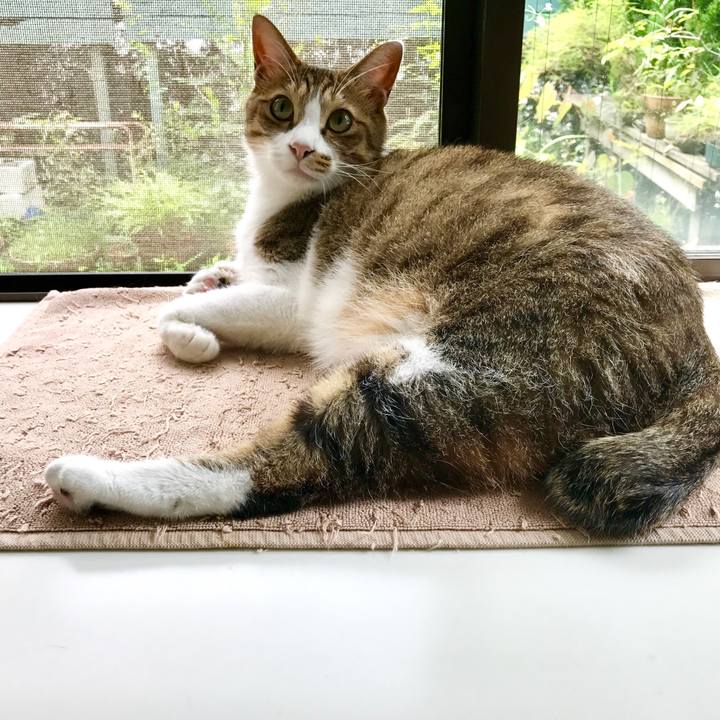 B0d61d10 44c9 4263 aee5 e39872a4b043