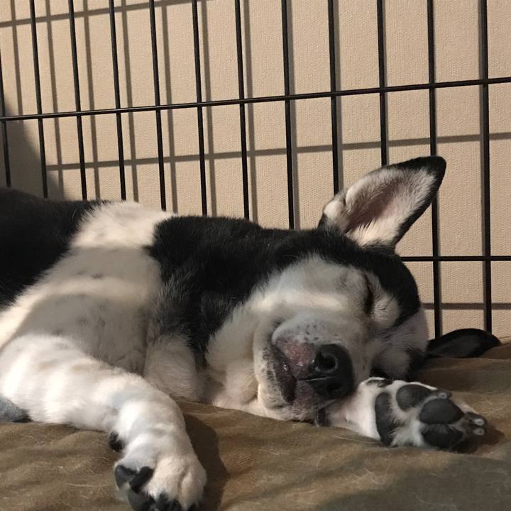 B0d6bf5c 84f4 4d31 9a3b 140b8f8b72eb