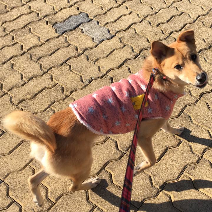 B0d6d180 0432 4523 8763 d25b4e0ee9e7