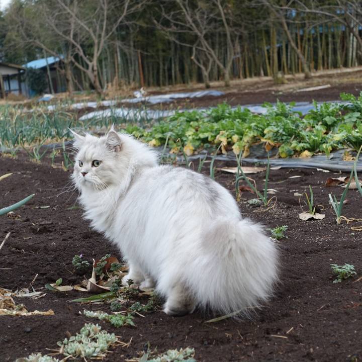 B0d70b7a 9921 405a 8a61 5c5a11d374d2