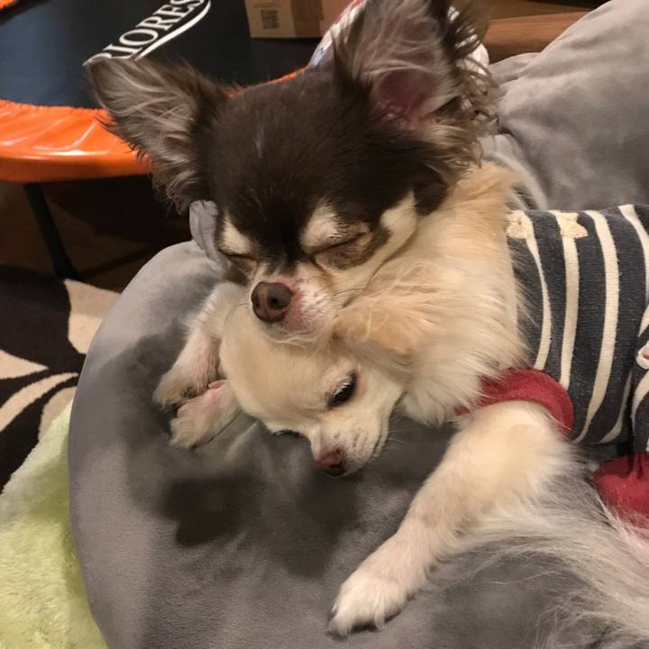 B0d7299b 5310 4e85 aec2 e191744ac721