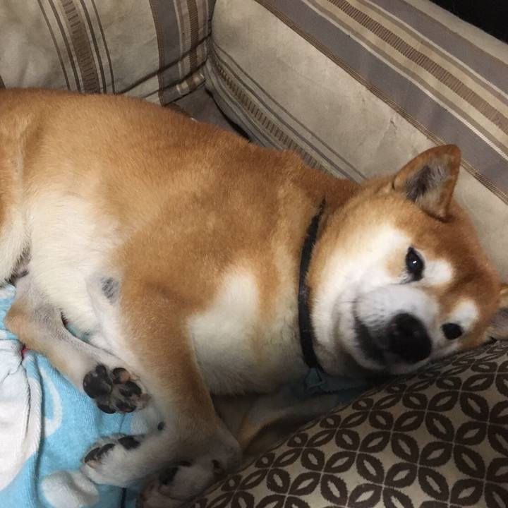 B0d74603 edcc 4857 a83c f01a8333cb09