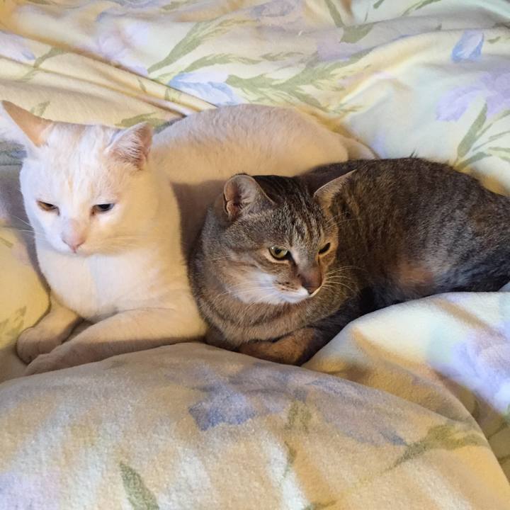 B0d782cd 24d0 4753 a0b7 3a340b7926b8