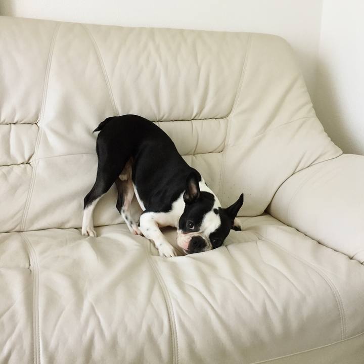 B0d7a730 cce4 4fbf 8501 a399bd80f07d