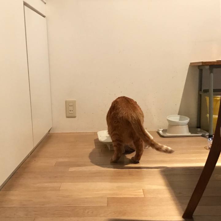 B0d7ab98 3dcd 4aca 8550 f4ce24e34070