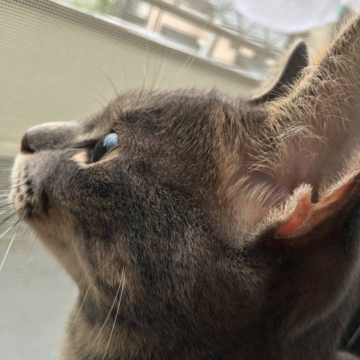 B0d7dda7 4fee 45e8 8c15 a3963417a8a9