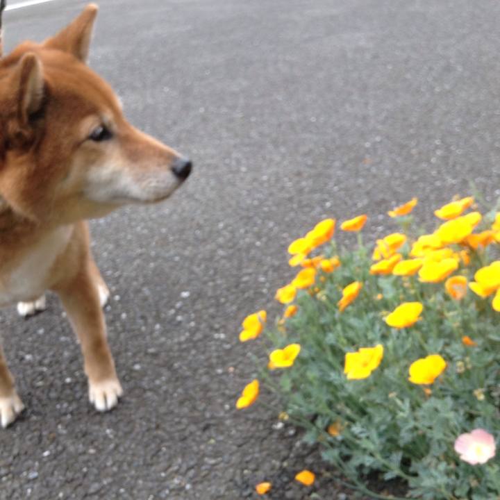 B0d95ec1 6c27 4b1d aff0 3cde36855f9f