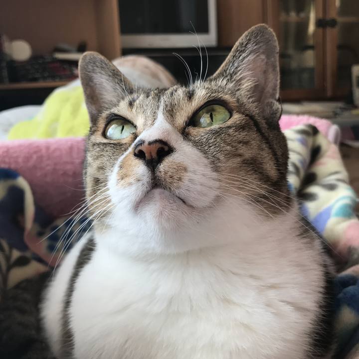 B0d98be5 4b1b 4199 a89f 9ff9f07293e2