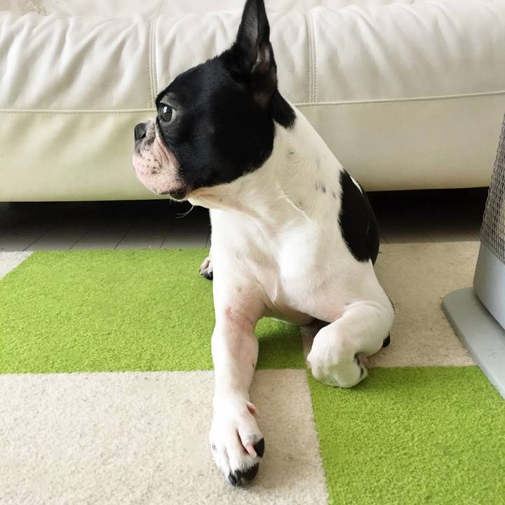 B0da13d5 943b 49bc aa20 9fded7f5a1e5