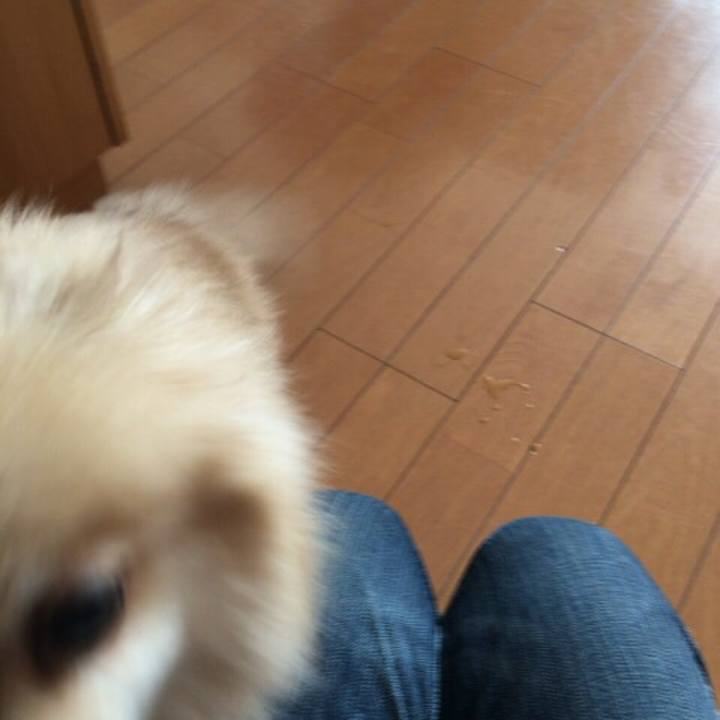 B0da8925 e4f7 4234 899f be3495c2dbc4