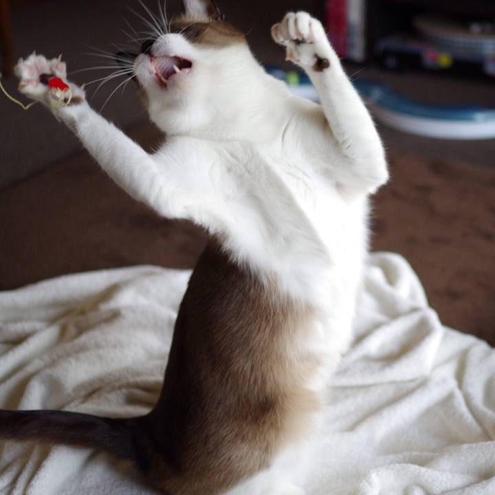 B0dadfc1 d058 41f3 9370 2bbaef8a3201