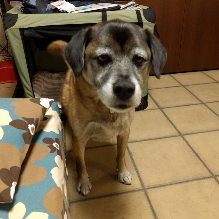 B0dc671e 5c90 420a b0bd 34e6f88b43f6