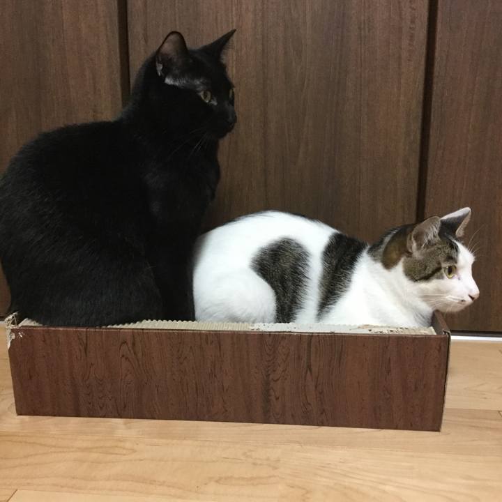 B0dcc31c 92ee 490b a67b ea323ad758be