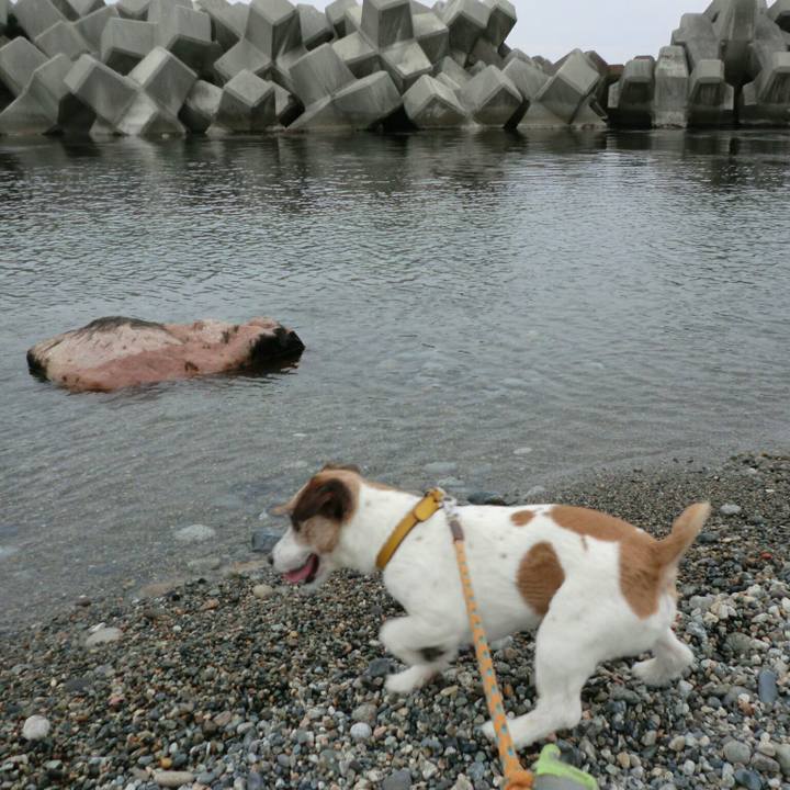 B0dcd6bc a24b 4df8 8bed 7b0cda42c353