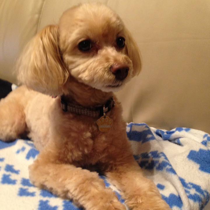 B0dd0a7d c5d6 48ca a4c1 ddb8f096f5e8