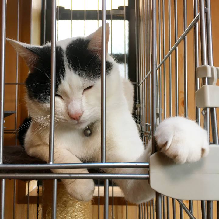 B0dd11cd f906 40c6 a899 e650d494e647