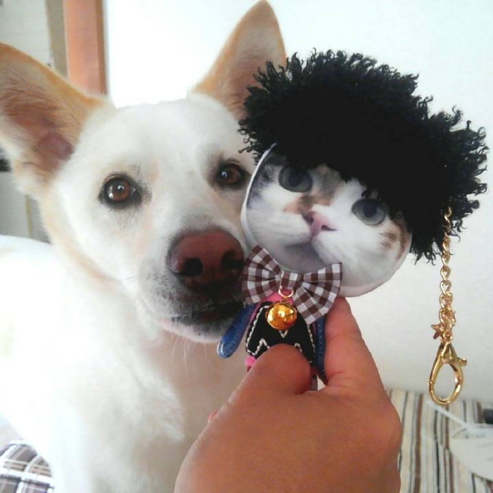 B0dd6075 feeb 4ad7 a1ee d1c9656ba012