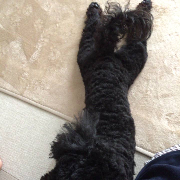 B0dda277 4641 4b33 b514 4e9ab6bd3e5b