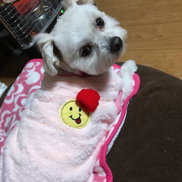 B0ddbd5a 6205 4369 8f1a 2274d42ae952