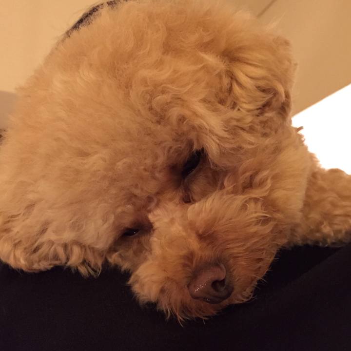 B0de8474 8bcd 45a8 96dc 78bee8c34ab9