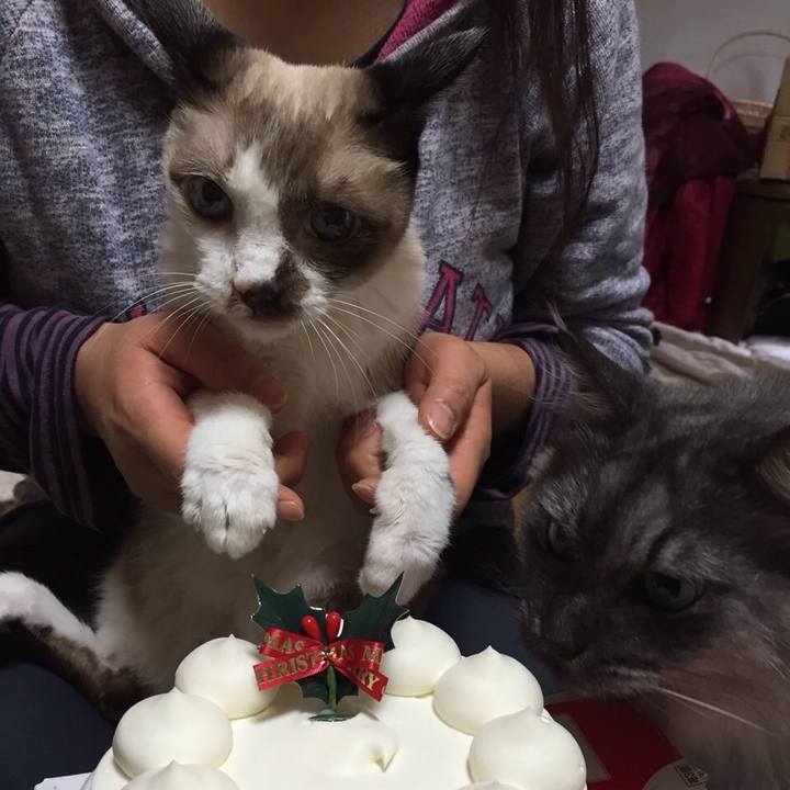 B0deaccc 087b 4647 a180 148ce0422878