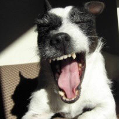 B0defa6d 1bce 4f09 9e81 1ed2c8479702