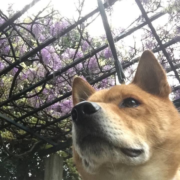 B0df6963 2db2 4f90 bc6d 13764e7c2cab