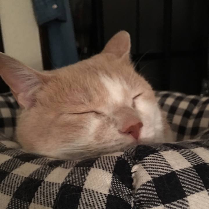 B0df8f15 5620 48f2 a446 d62cc9c63990