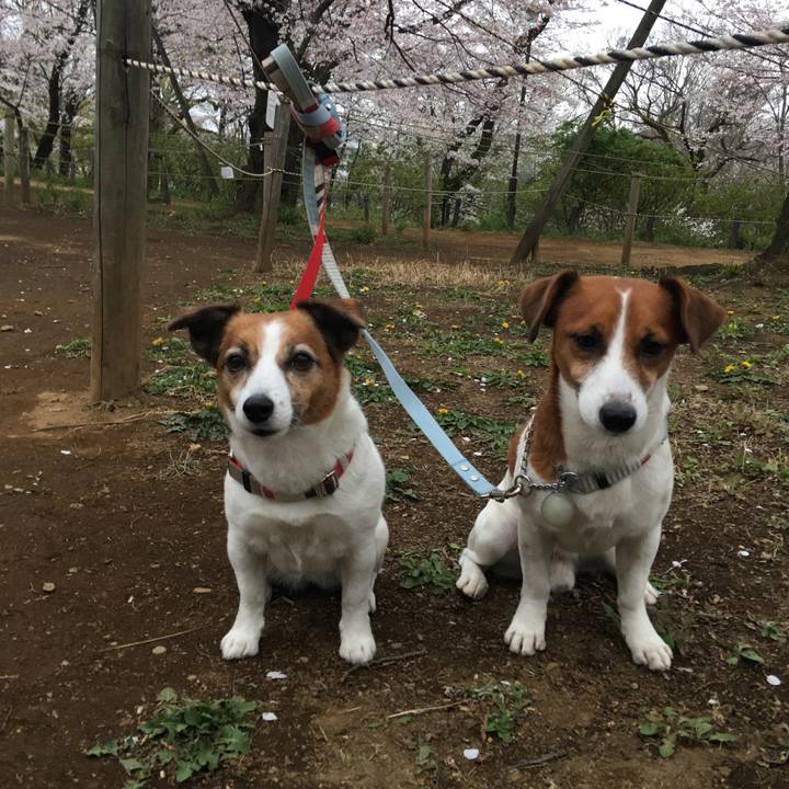 B0e049bd 8c63 440b b372 326793cfac8e