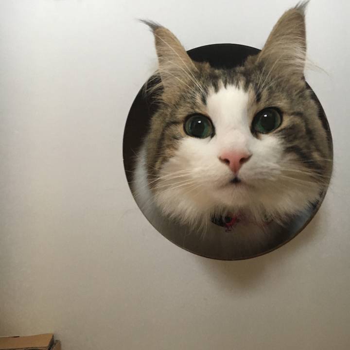 B0e0d70b 0bb4 493d b782 e9cd2598ab0b