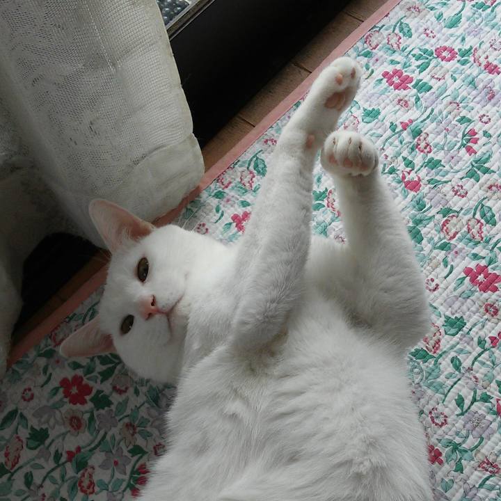 B0e11ecb 7876 476a b8ca 16f729d57743