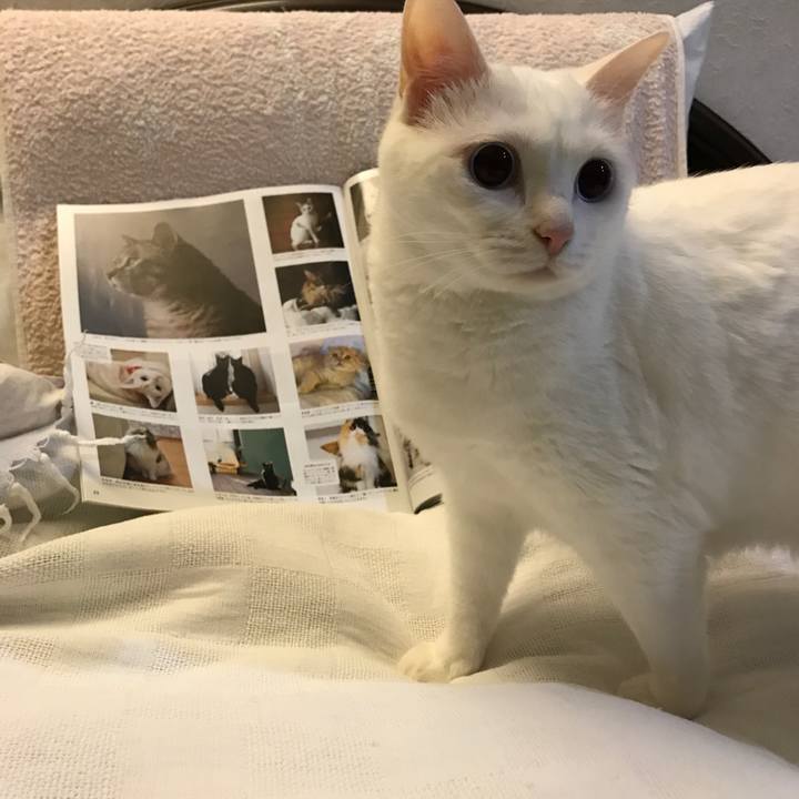 B0e215f3 fd16 4a87 a106 491585af8e43