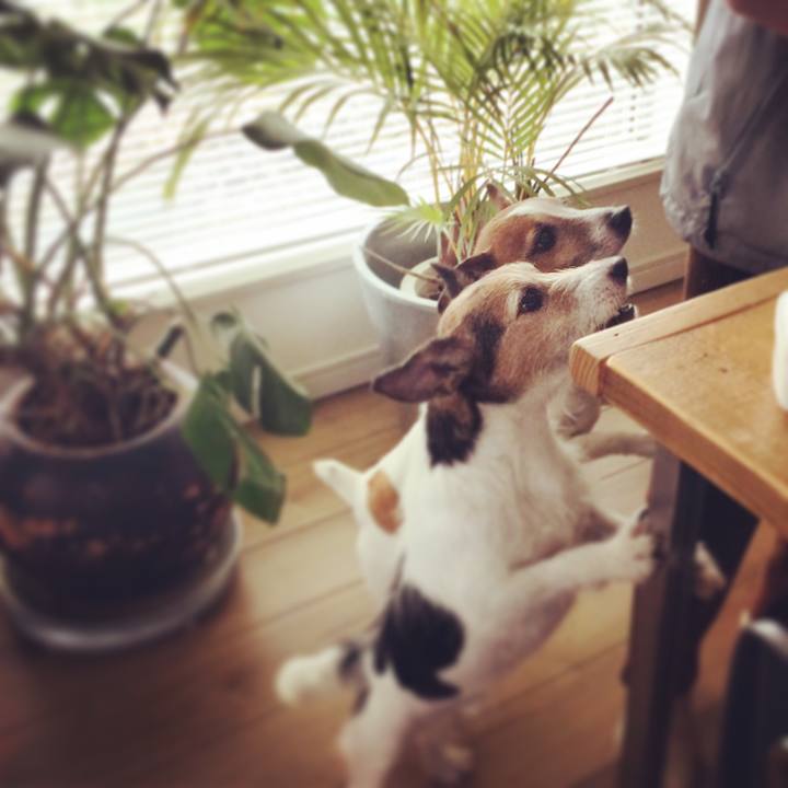 B0e2e818 7017 45ff aba7 db237ef4263f