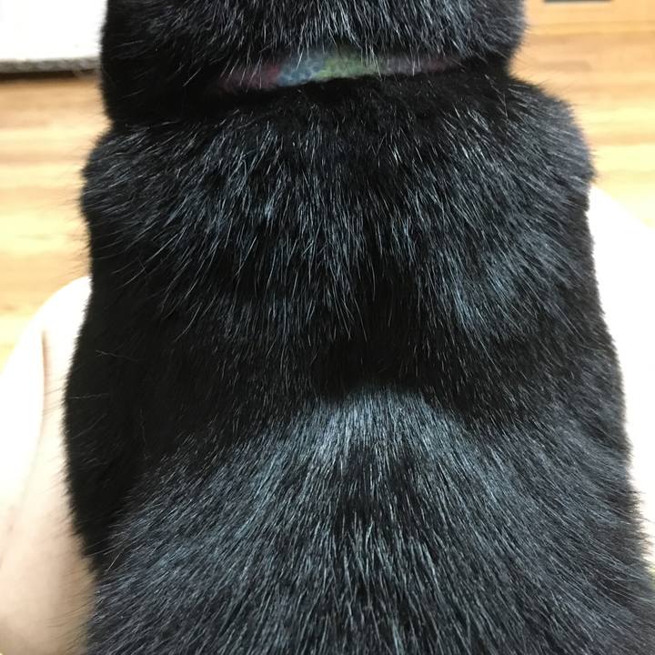 B0e2f980 20d7 4ac9 add0 d9e04ea9c36a