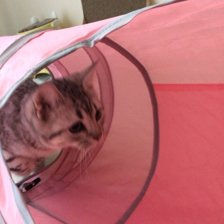 B0e3a59d f77f 49e9 8b50 d554a7e2c917