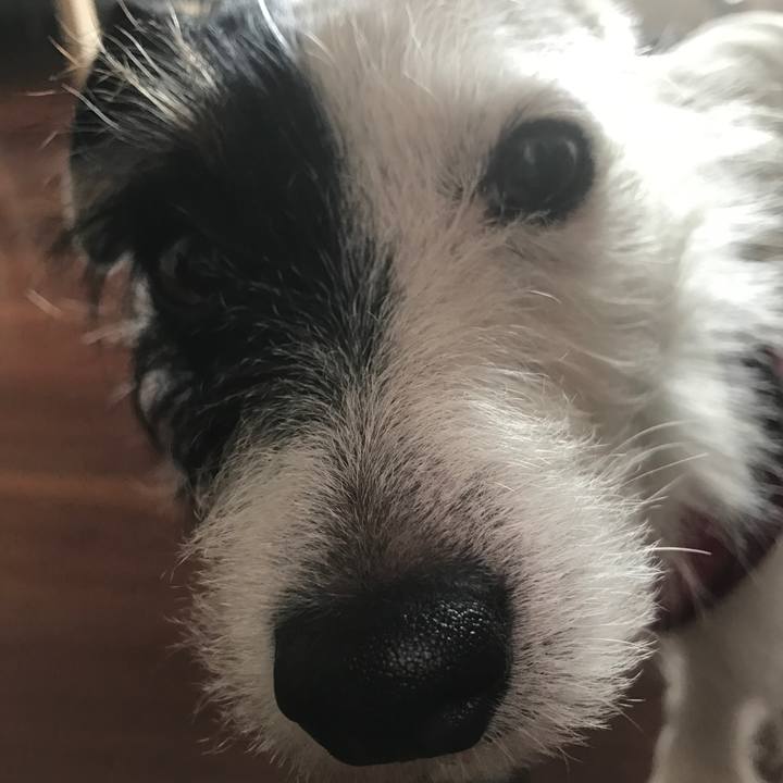 B0e3dfd1 71dd 4877 8063 169d8f3bb656