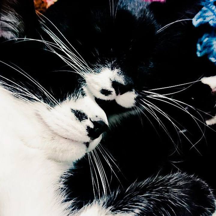 B0e48a44 195e 4a91 8bad cdb6e8cfe168