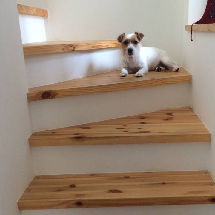 B0e4b9e4 6756 46e1 b098 5e037b49716f