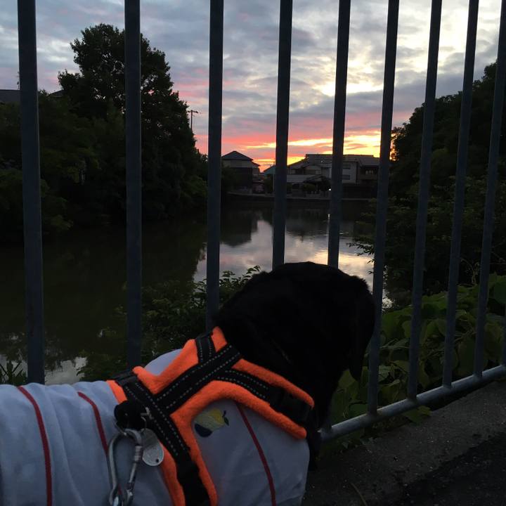 B0e4ffd9 d524 4147 a0e7 fa65d160a0c4