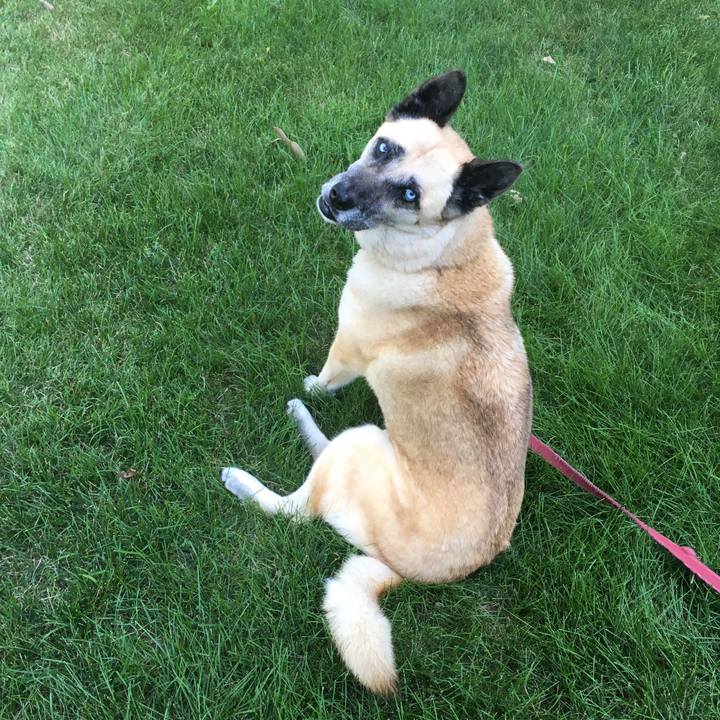 B0e56460 82e7 4f8e 8193 db9a061b8c32