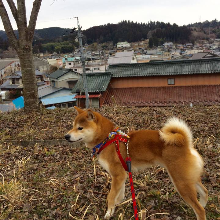 B0e5baf4 296b 4dc7 a0a0 11a6c7964e10