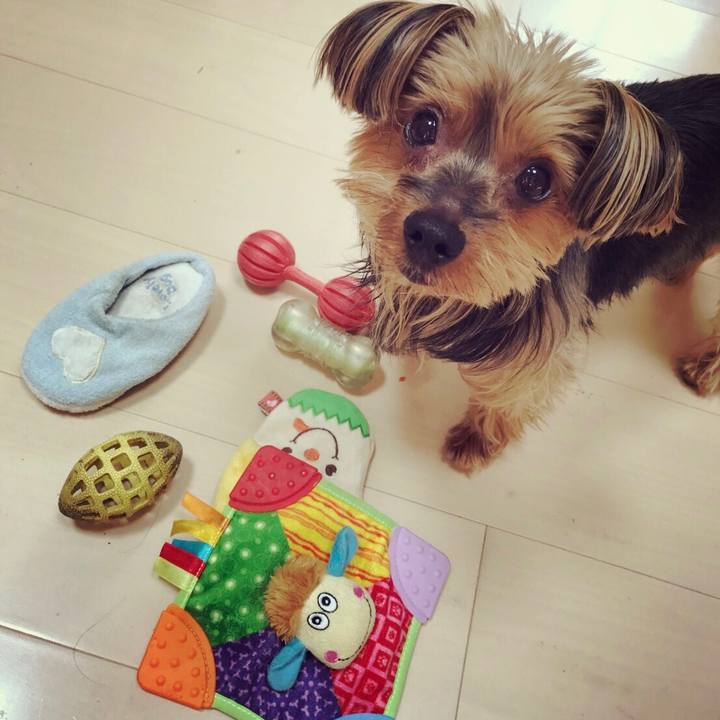 B0e63312 2372 498c b479 3a58396ca13f